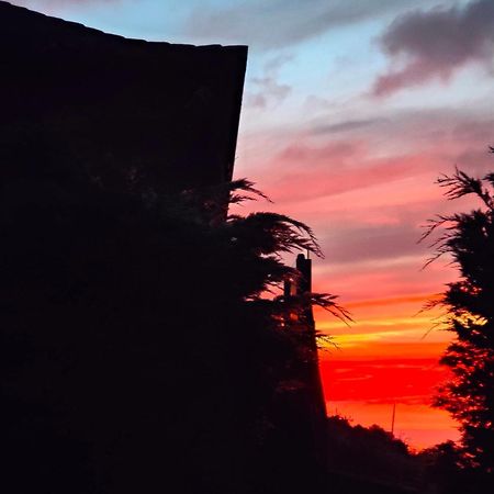 Casa Rural Quinta Los Naranjos Tigalate 外观 照片