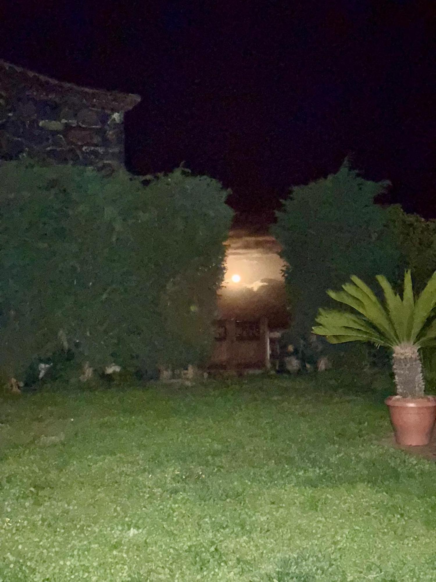 Casa Rural Quinta Los Naranjos Tigalate 外观 照片