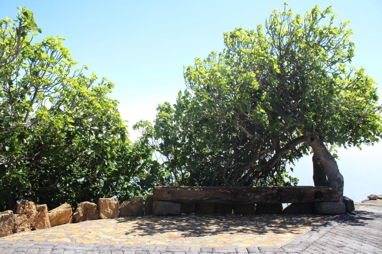 Casa Rural Quinta Los Naranjos Tigalate 外观 照片