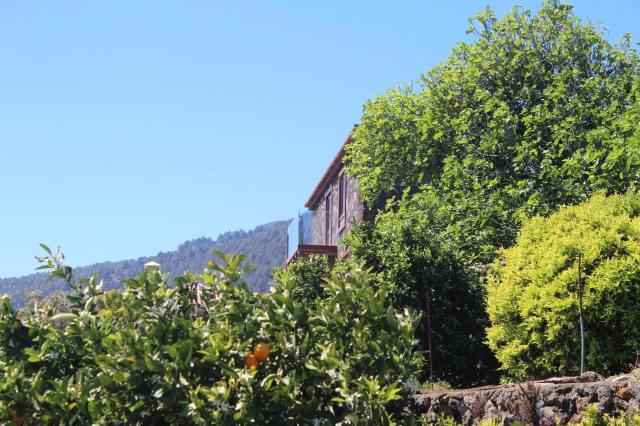 Casa Rural Quinta Los Naranjos Tigalate 外观 照片